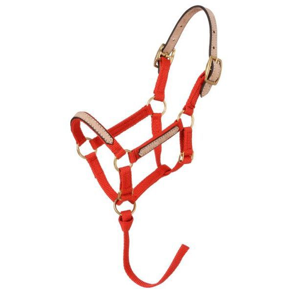 Tough1 Miniature Breakaway Halter Large Red