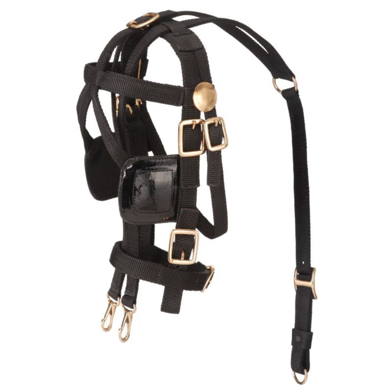 Tough1 Miniature Harness Bridle