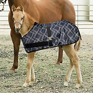 180g Fiberfill Insulation Kensington All Around 1200 Denier Foal Turnout Blanket Waterproof and Breathable Horse Turnout Blanket 