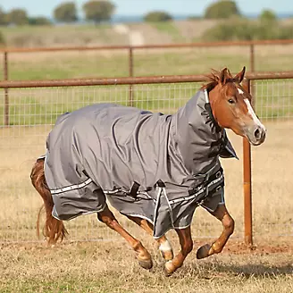 Classic Equine X Trainer 5K Blanket with Hood