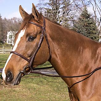 Silver Fox Raised and Braided Details Show Bridle with Laced Reins