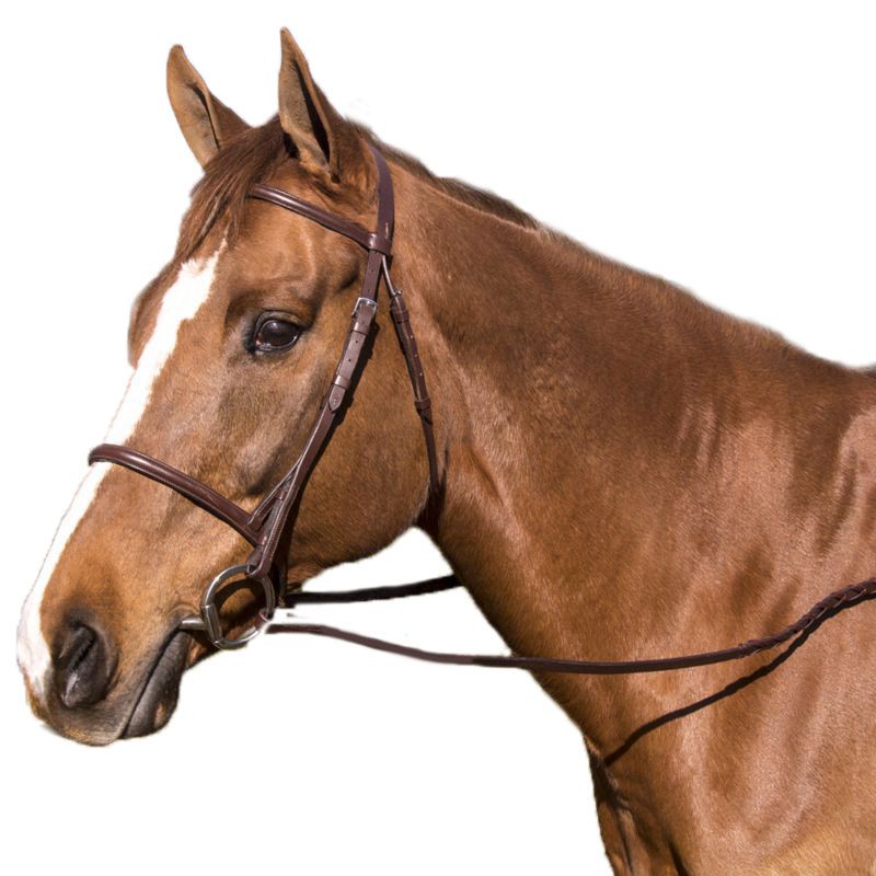 2080000000 Legacy Plain Raised Snaffle Bridle Pony Brown sku 2080000000