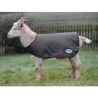 Weatherbeeta Goat Coat 2XL Gray