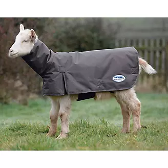 Weatherbeeta Deluxe Goat Coat w/ Neck X-Small Gray