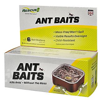 Rescue Ant Baits 6-Pack