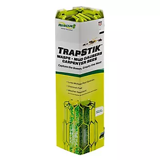 TrapStik for Wasps Mud Daubers and Carpenter Bees
