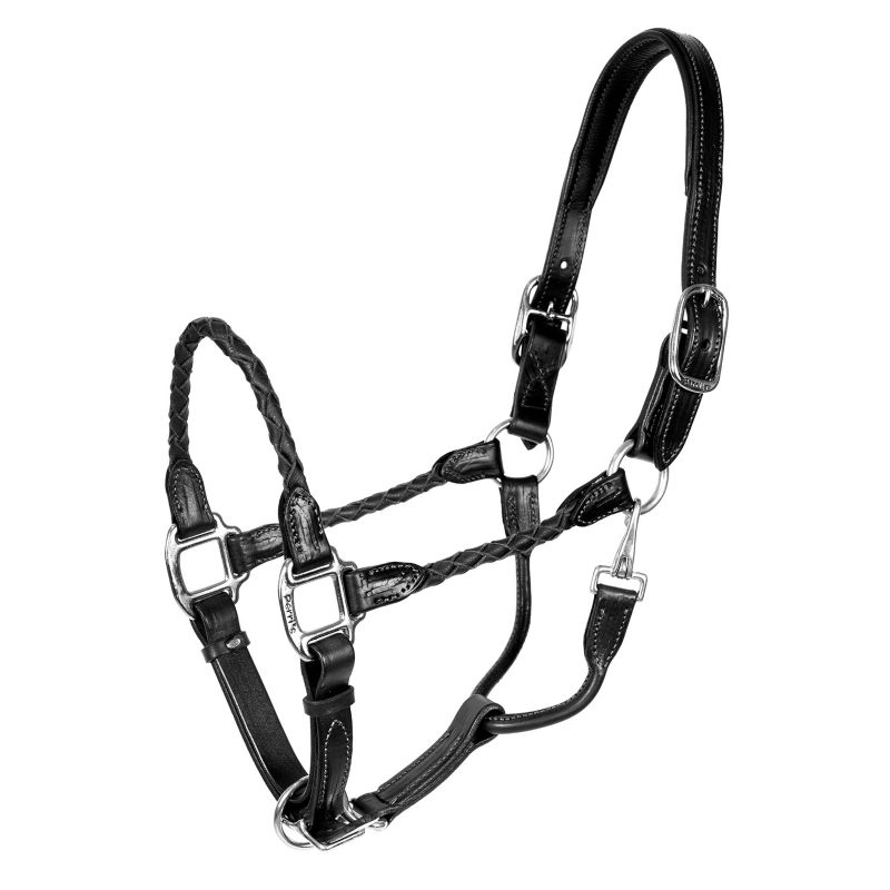 Perri's Perris Braided Leather Halter