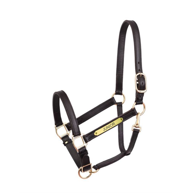 horse halters for sale