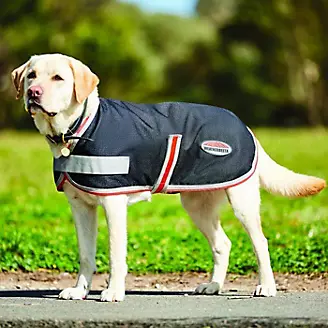 WeatherBeeta 1200D Therapy Tec Dog Coat