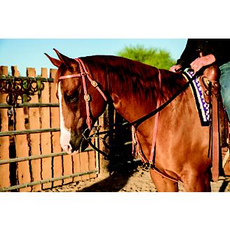 Al Dunning by Pro Choice Draw Rope Martingale