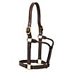Weaver Leather 1in Thoroughbred Halter w/o Snap
