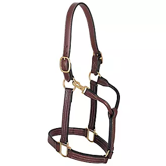Weaver Leather 1in Thoroughbred Halter with Snap