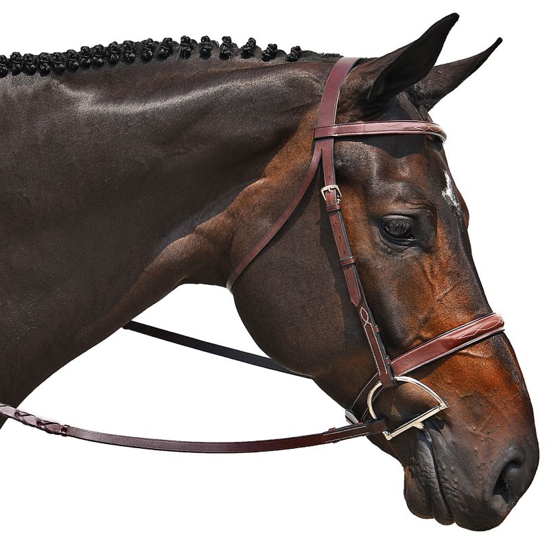 M Toulouse Handy Hunter Snaffle Bridle Cob