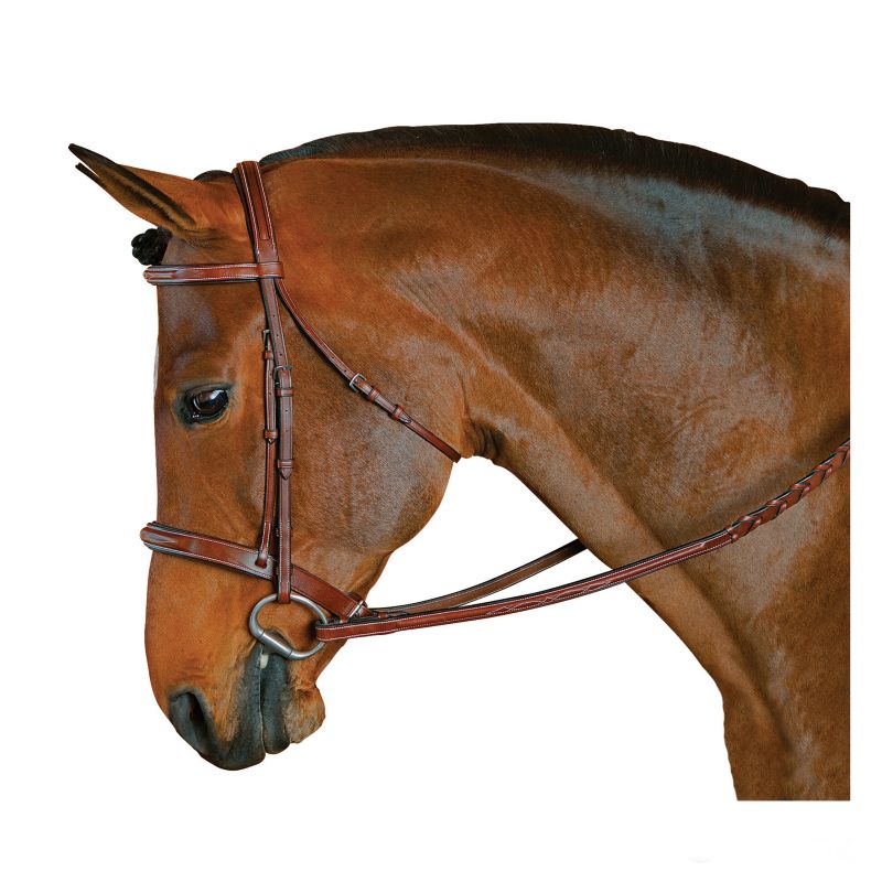 M Toulouse Devon Snaffle Hunter Bridle Full Cognac