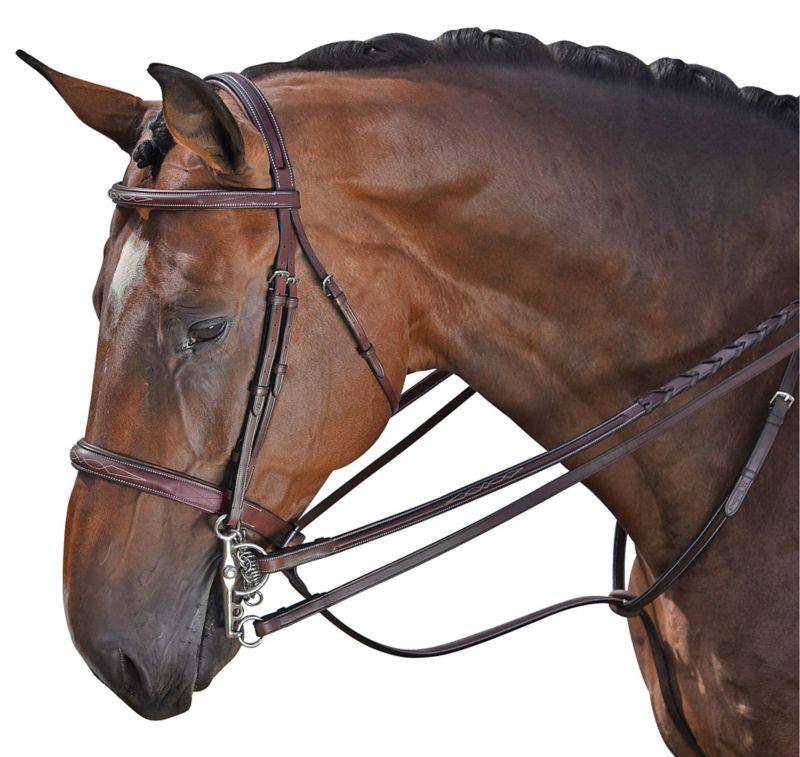 4045C M Toulouse Devon Snaffle Hunter Bridle Cob Choco sku 4045C