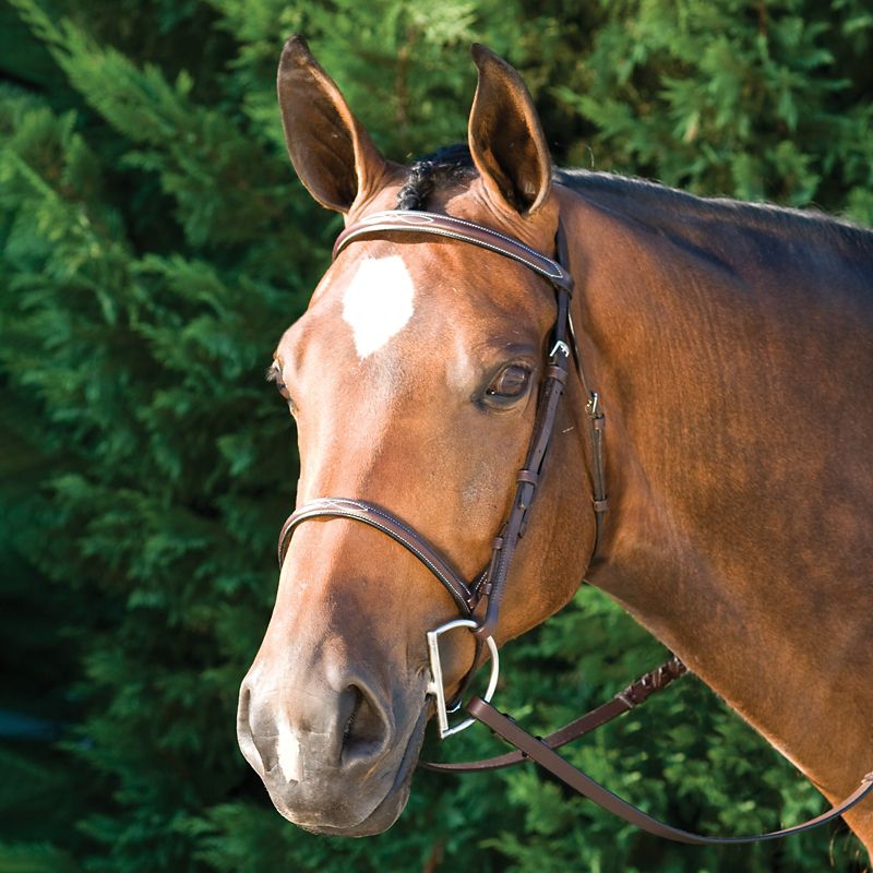 Durable for Schooling, Attractive for Showing