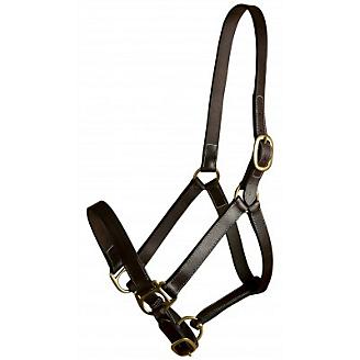 NEW Brown or Black Leather Track Halter Cob Horse Oversize Snap Triple stitch 1" 