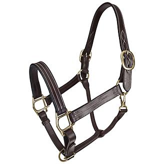 SHP Stunning White-Lined Padded Leather Headcollar Solid Brass Fittings 4 Colors 