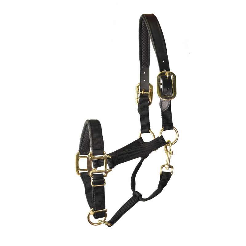 Gatsby Prem Nylon Padded Halter