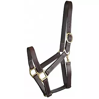 Leather Horse Halters 