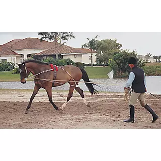 Swivel Snaps, & Rings for Horse Training Lines – Natural Equine
