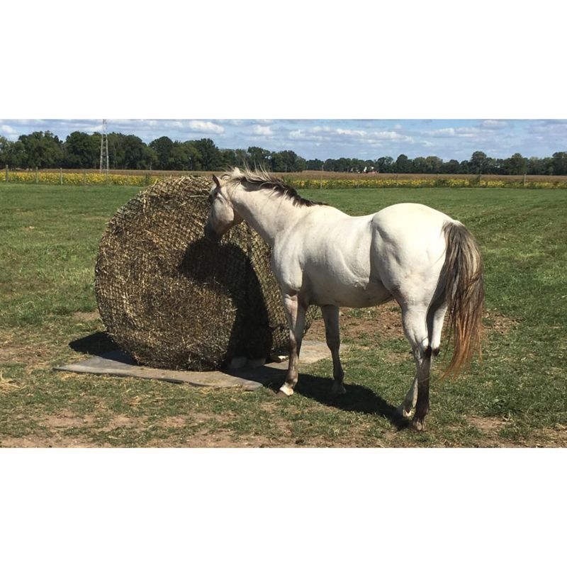 hay net for round bales