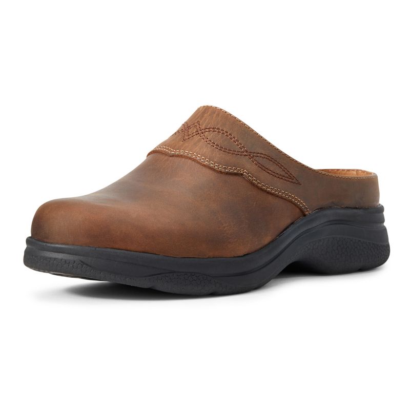 ariat mule shoes