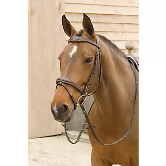 Lami-Cell Elegance Bridle With Flash