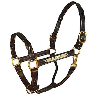 Engraved Twisted Leather Halter