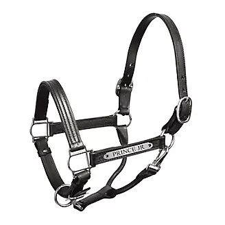 Engraved Leather Show Halter w/ SS Plate