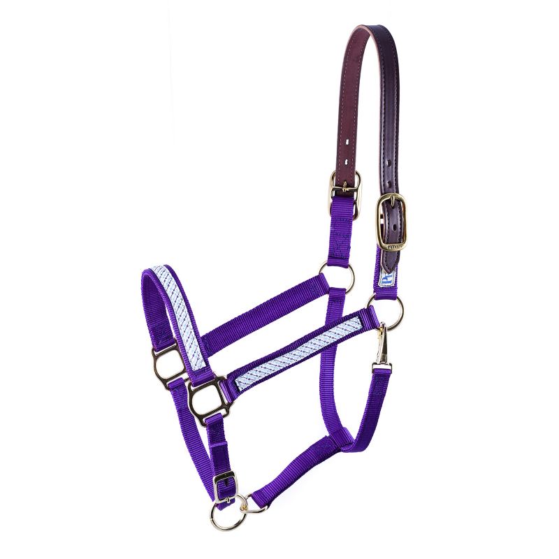 Perris Ribbon Safety Halter Mini B Arrows