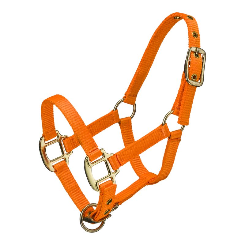 Ozark Mini Neon Nylon Halter