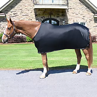 MAJESTIC ALLY Horse Blanket Sheet Replacement Elastic Horse Leg