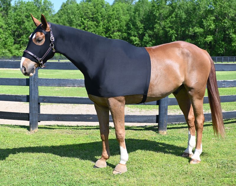 Magnetic Horse Slicker Hood | Enhances Suppleness & Flexion