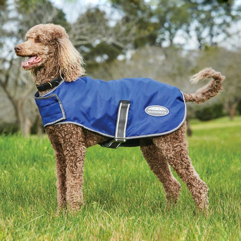 Cheap sale dog coats