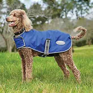WB Comfitec Windbreaker Parka Dog Coat
