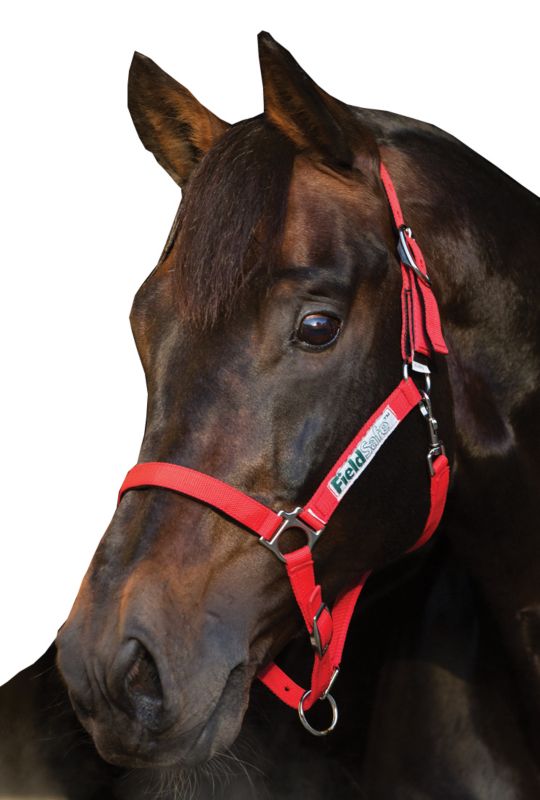Rambo FIELDSAFE Safety Halter Pony Red