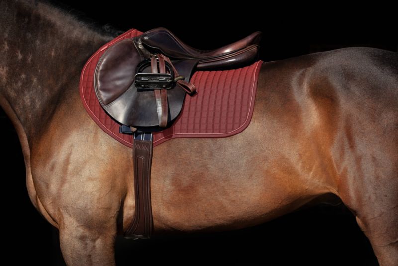 Horseware Sport Saddle Pad Cob/Horse Burgundy