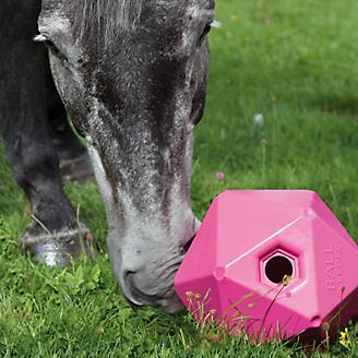 Shires Interactive Ball Feeder for Horses