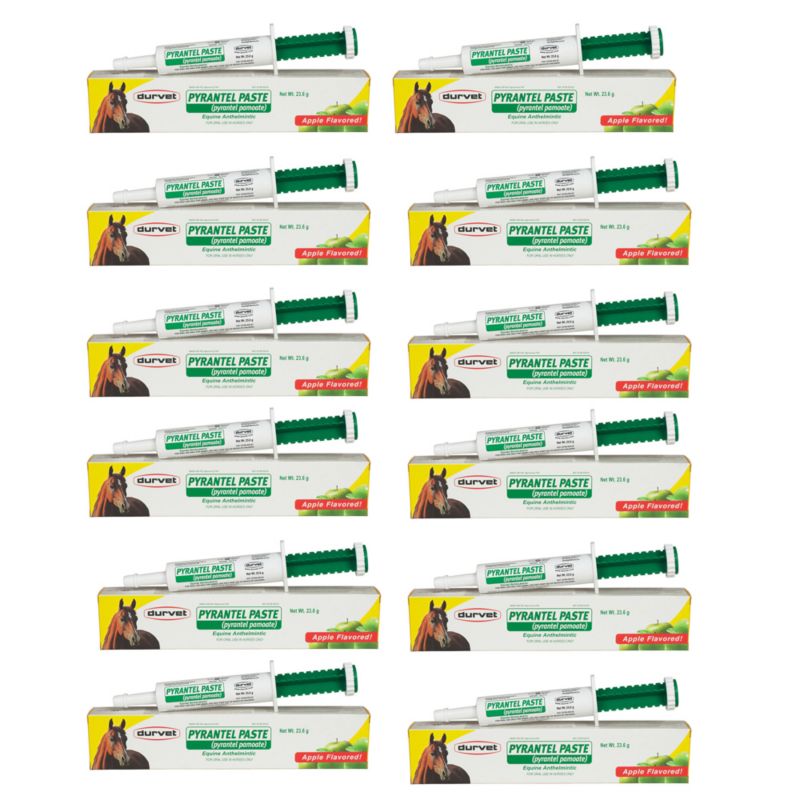 Pyrantel Pamoate Single Dose Paste Wormer 12-Pack