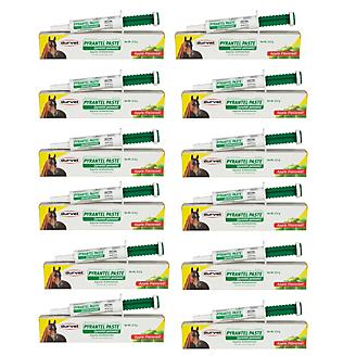 Pyrantel Pamoate Single Dose Paste Wormer 12-Pack