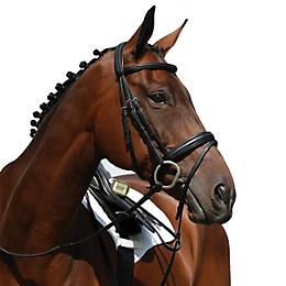 Brown New Collegiate Padded Browband was £13.50 