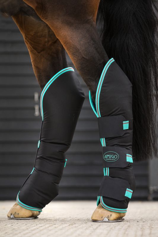 horse travel boots sale