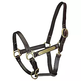 Gatsby Engraved Leather Halter with Snap 