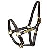 Gatsby Engraved 2-Plate Leather Halter w Snap