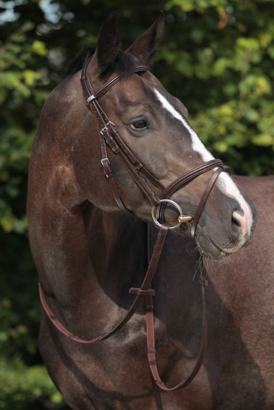 STUBBEN 2300 Leitrim MONOCROWN Combined Cavesson Drop Figure-8 Crank NOSEBAND 