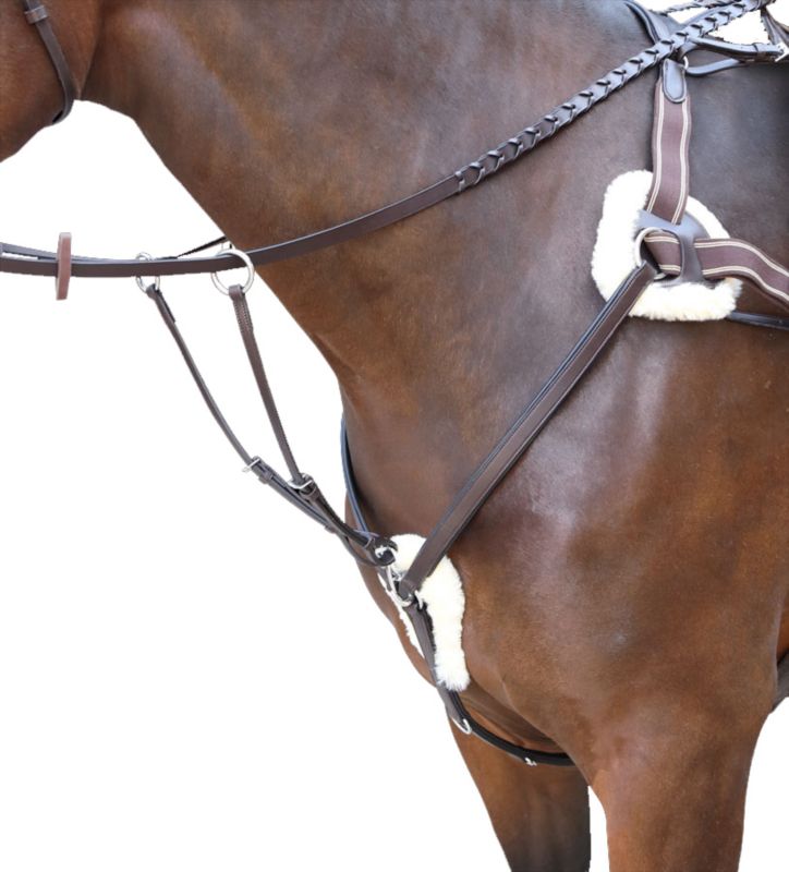 Rossano Five Point Breastplate Cob Havana