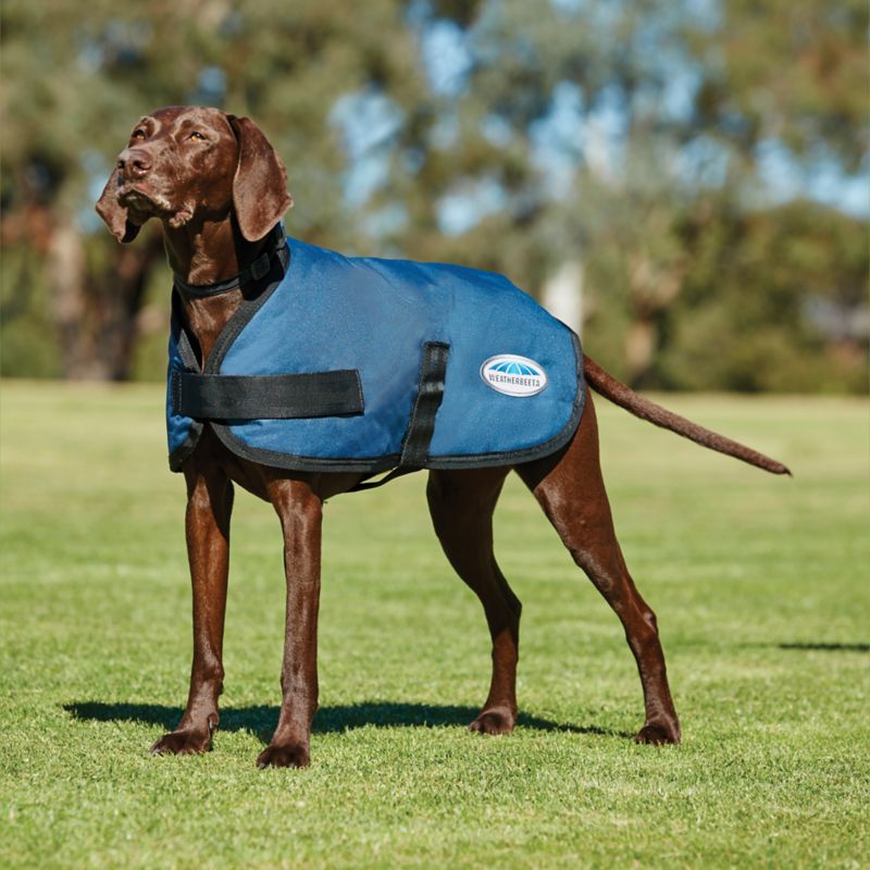 WeatherBeeta ComFiTec Classic Dog Coat Horse