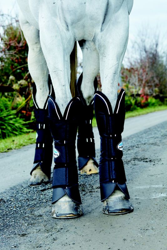 horse travel boots sale