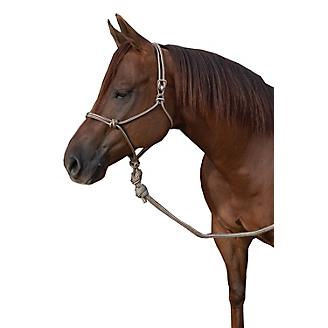 LEAD W/ chrome CHAIN & LEATHER STOP WINE NYLON 25' Horse Training Lunge Line 